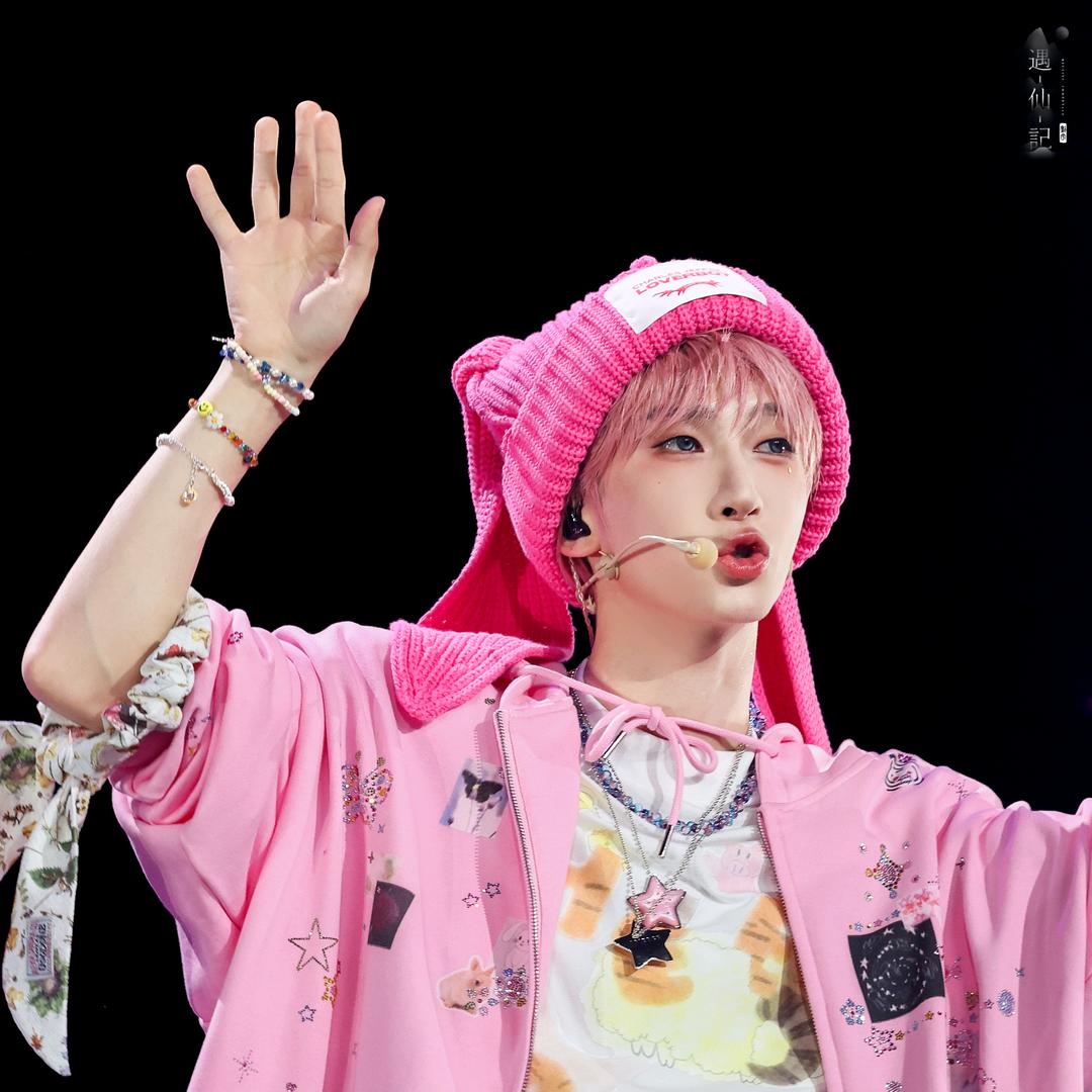 努力搬砖养宇崽-