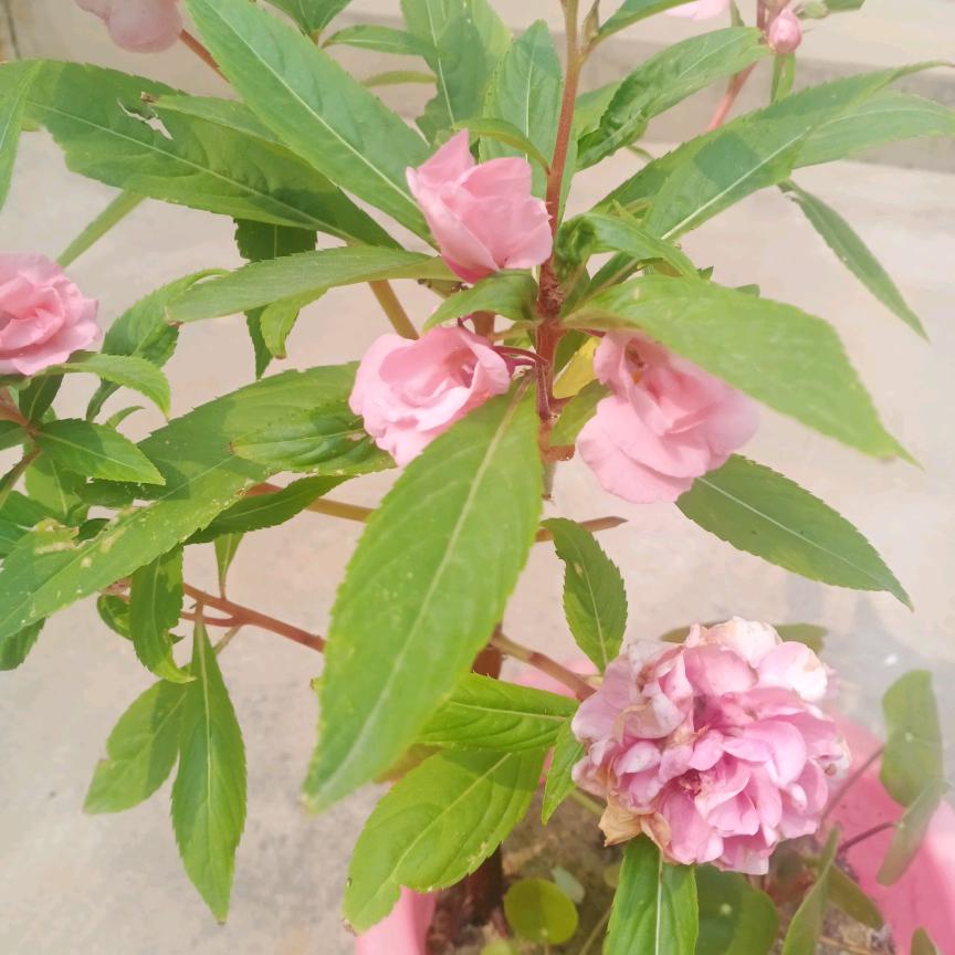 顺丰顺水，顺其自然