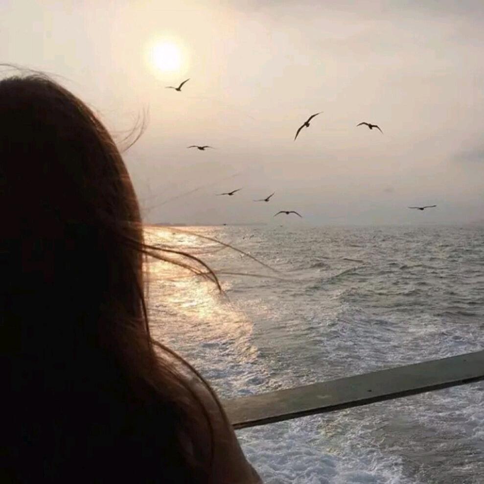 花花姐教育规划