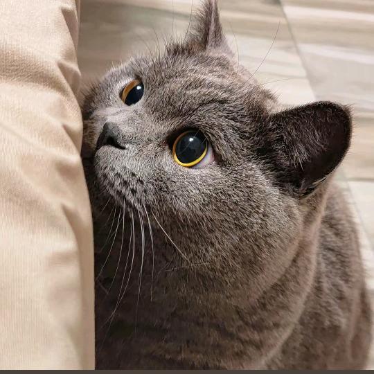 小胖嗝嗝妈