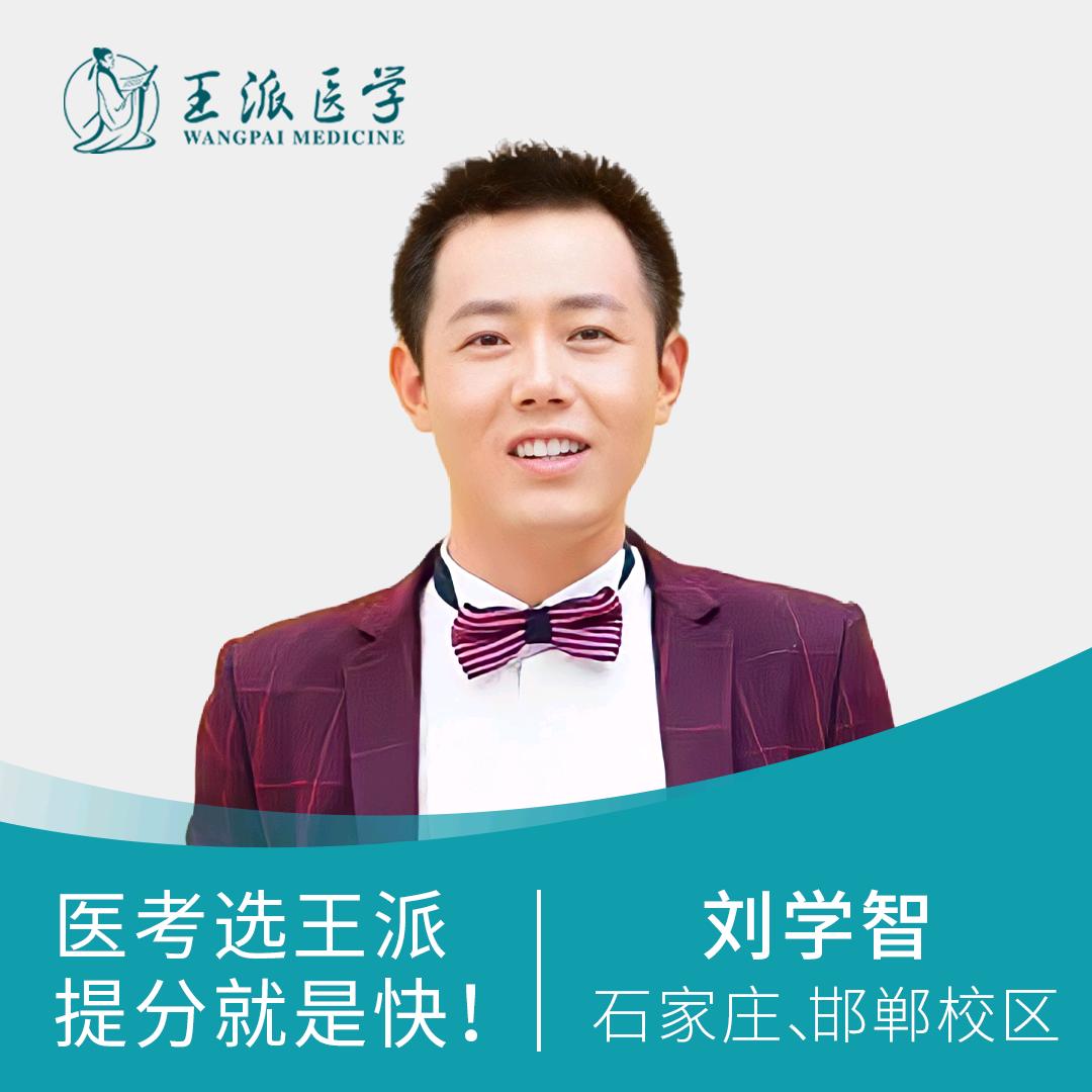 王派医学刘老师
