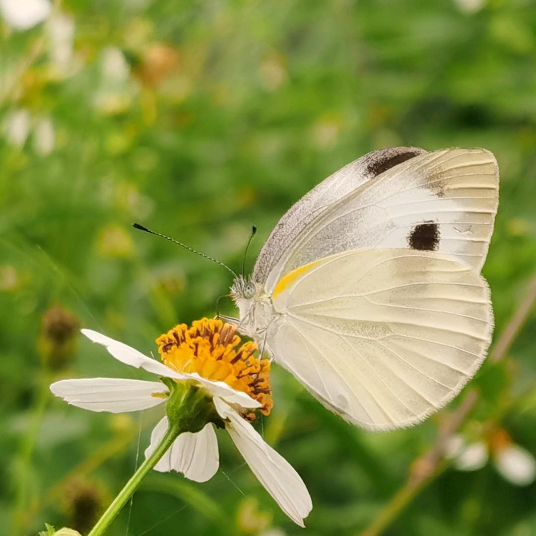 𓏲🫕食拿酒稳👌🏻ᵒᵏᵎᵎᵎ