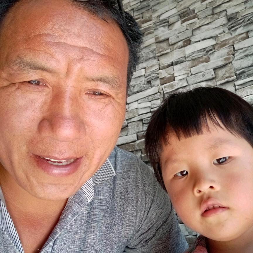 苏二买树