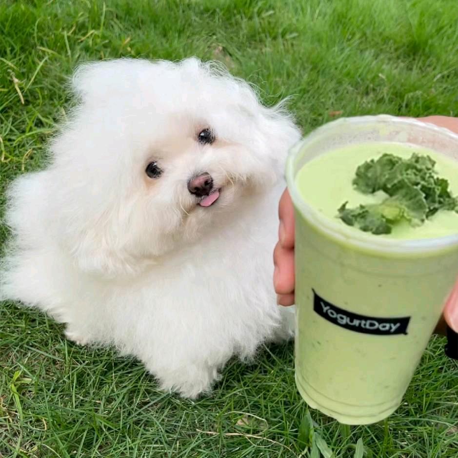 有点爱米粒