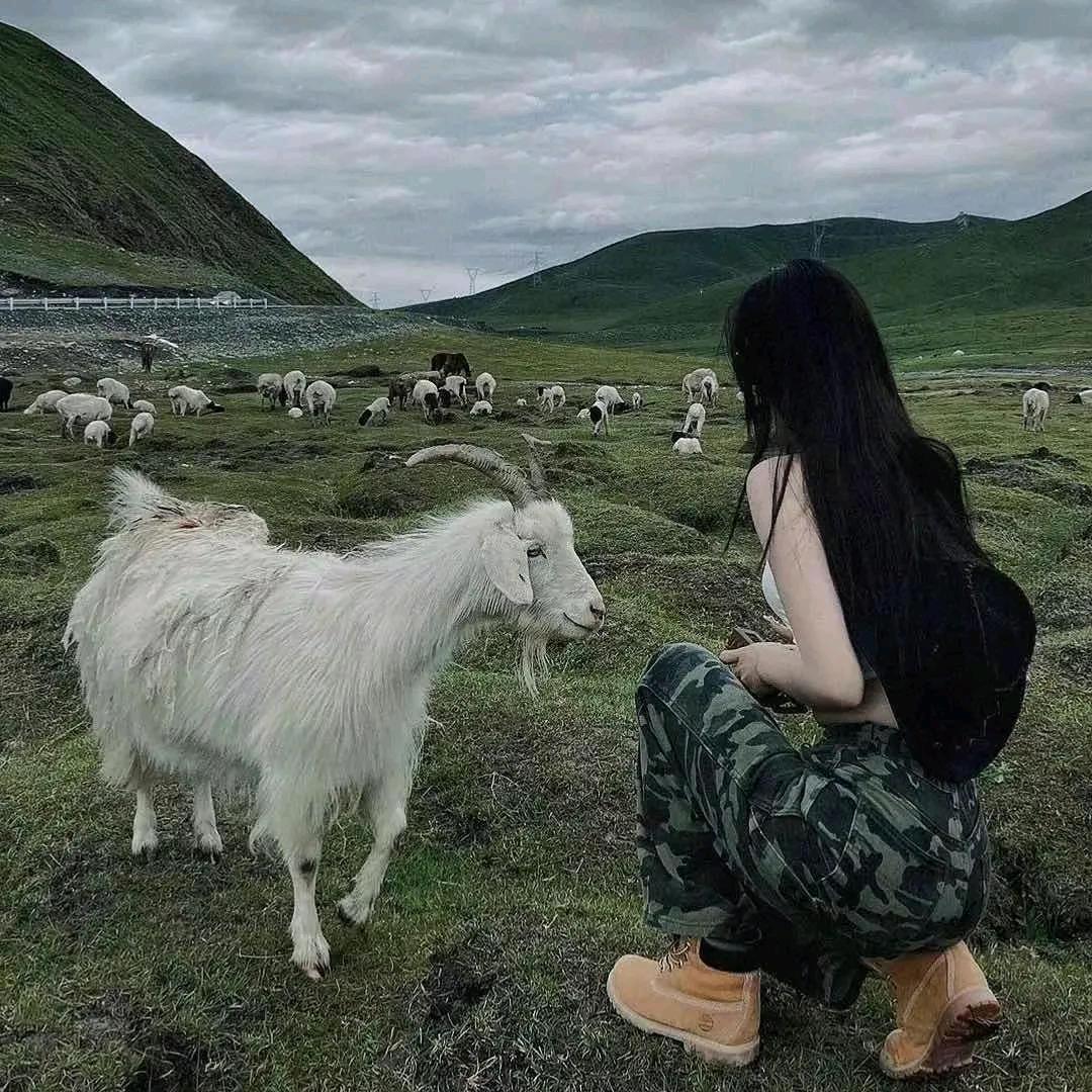 疆果甜甜（石河子）