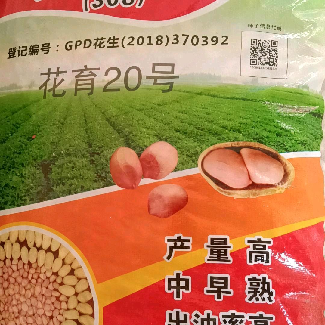 郝坡农资党柱
