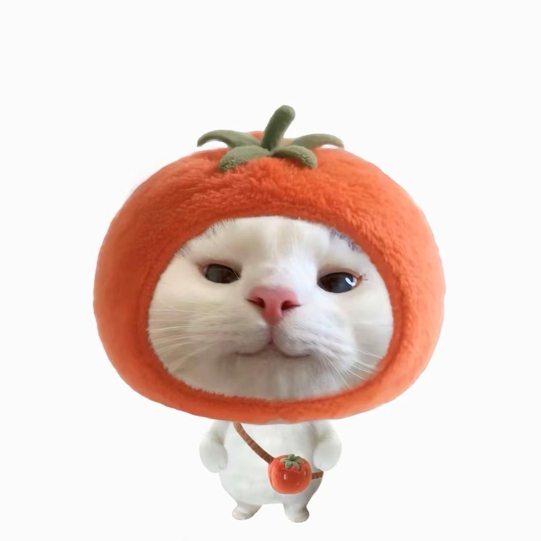 想不起来