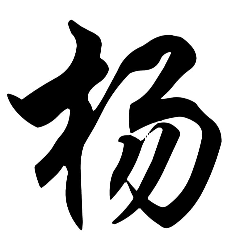 重庆才哥