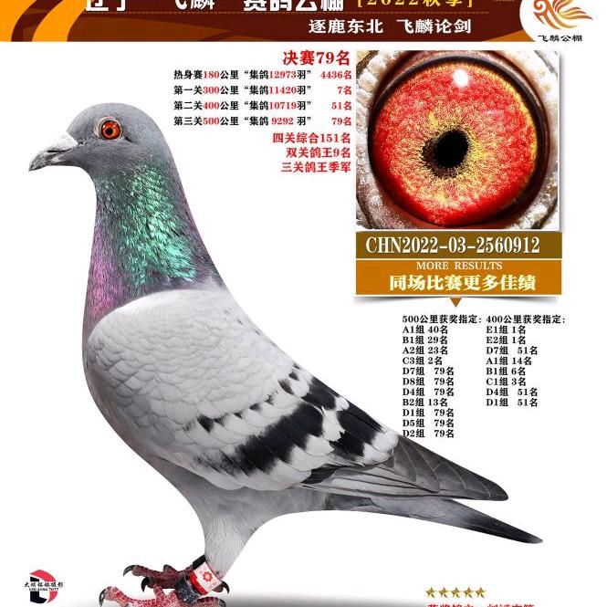 愿赌服输
