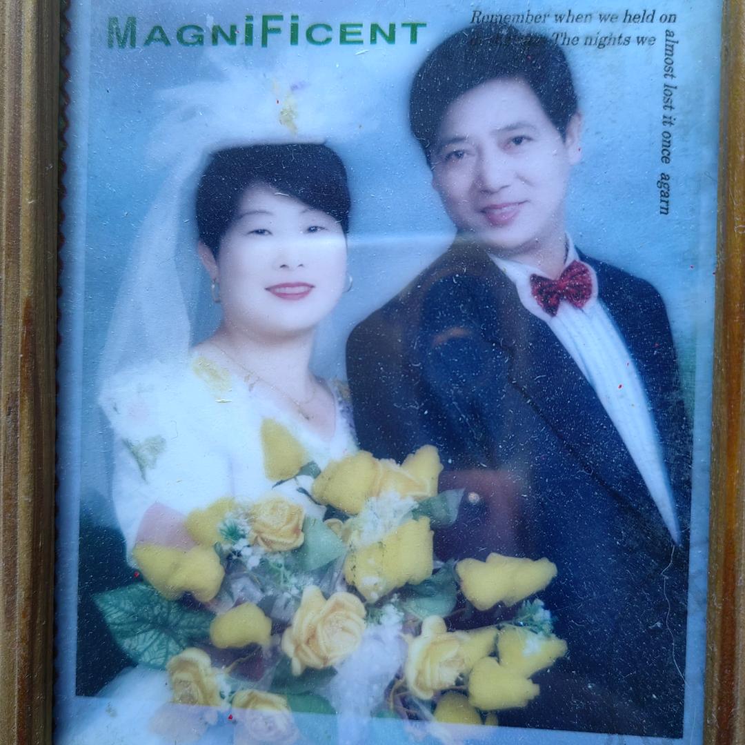 苹果
