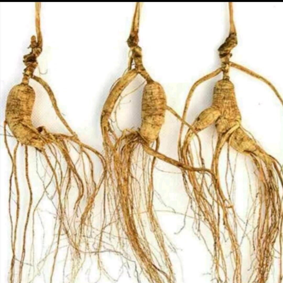 航帆御品堂好物分享