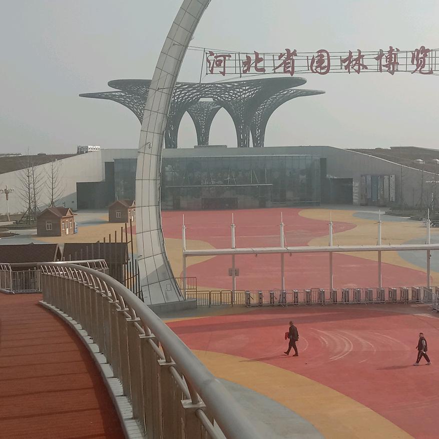 我不后悔🇨🇳