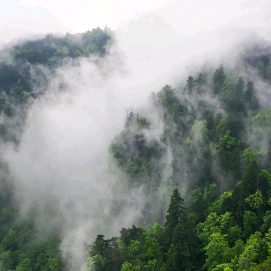 桃叔山居生活