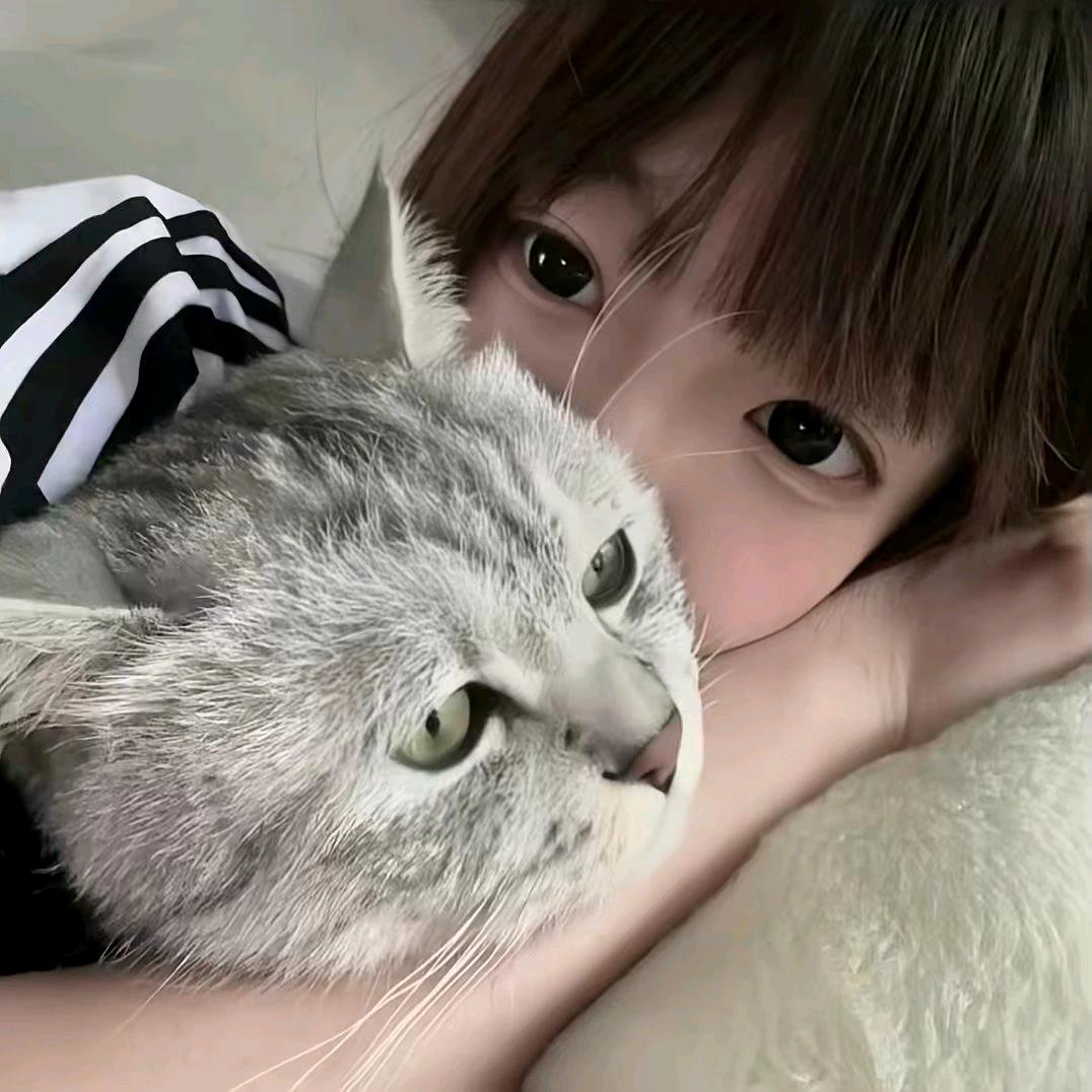 半岛铁盒