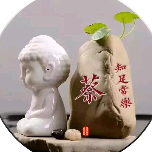 酸蔡牛肉面