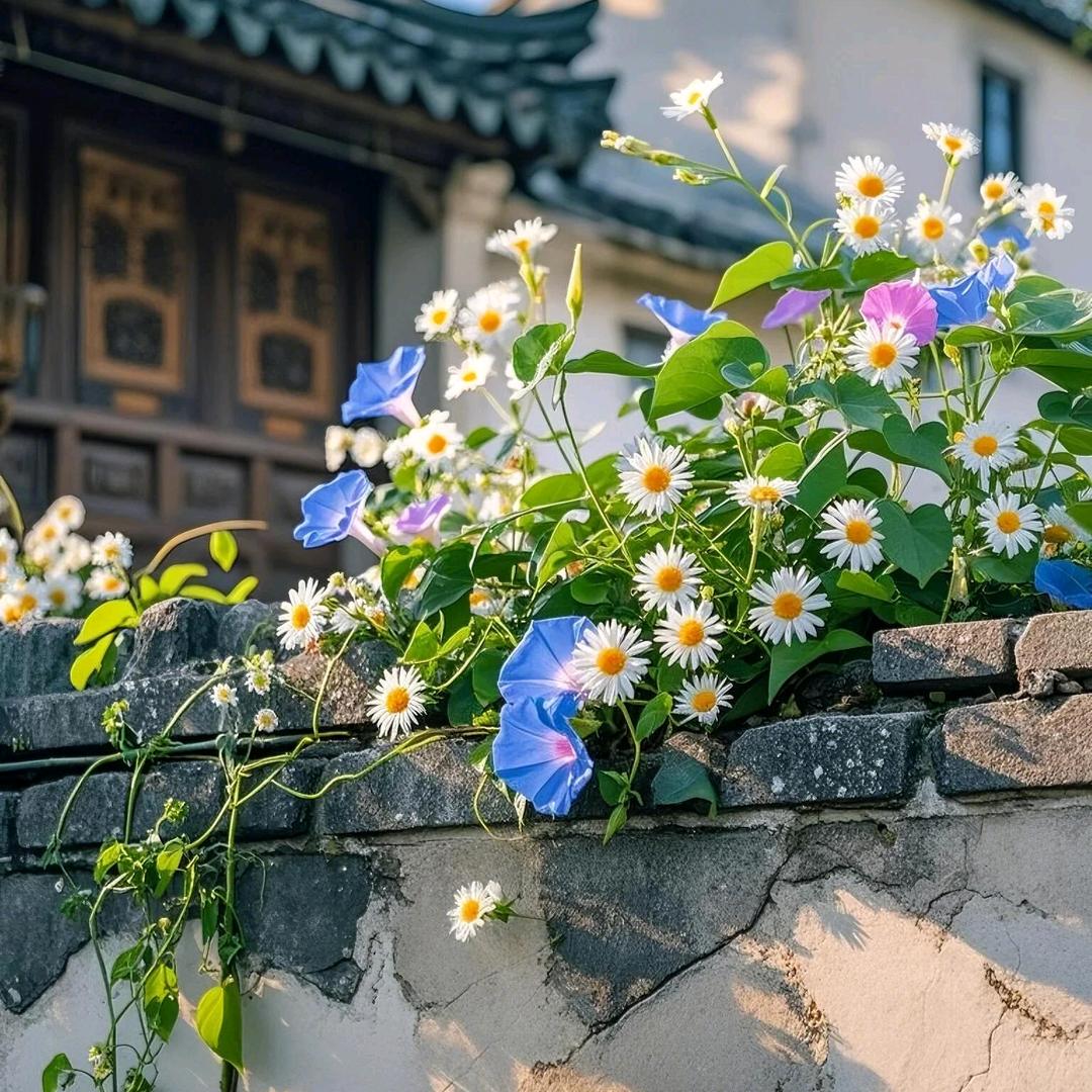 芍祥百货