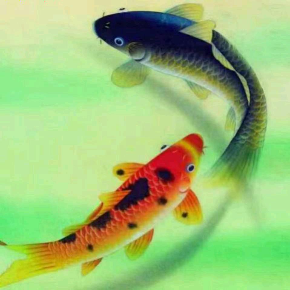 鱼🐠 儿