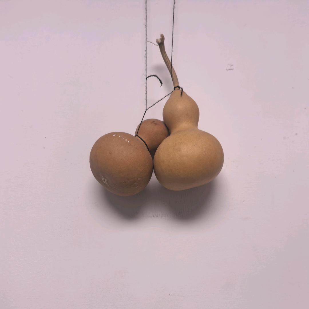 在哪里