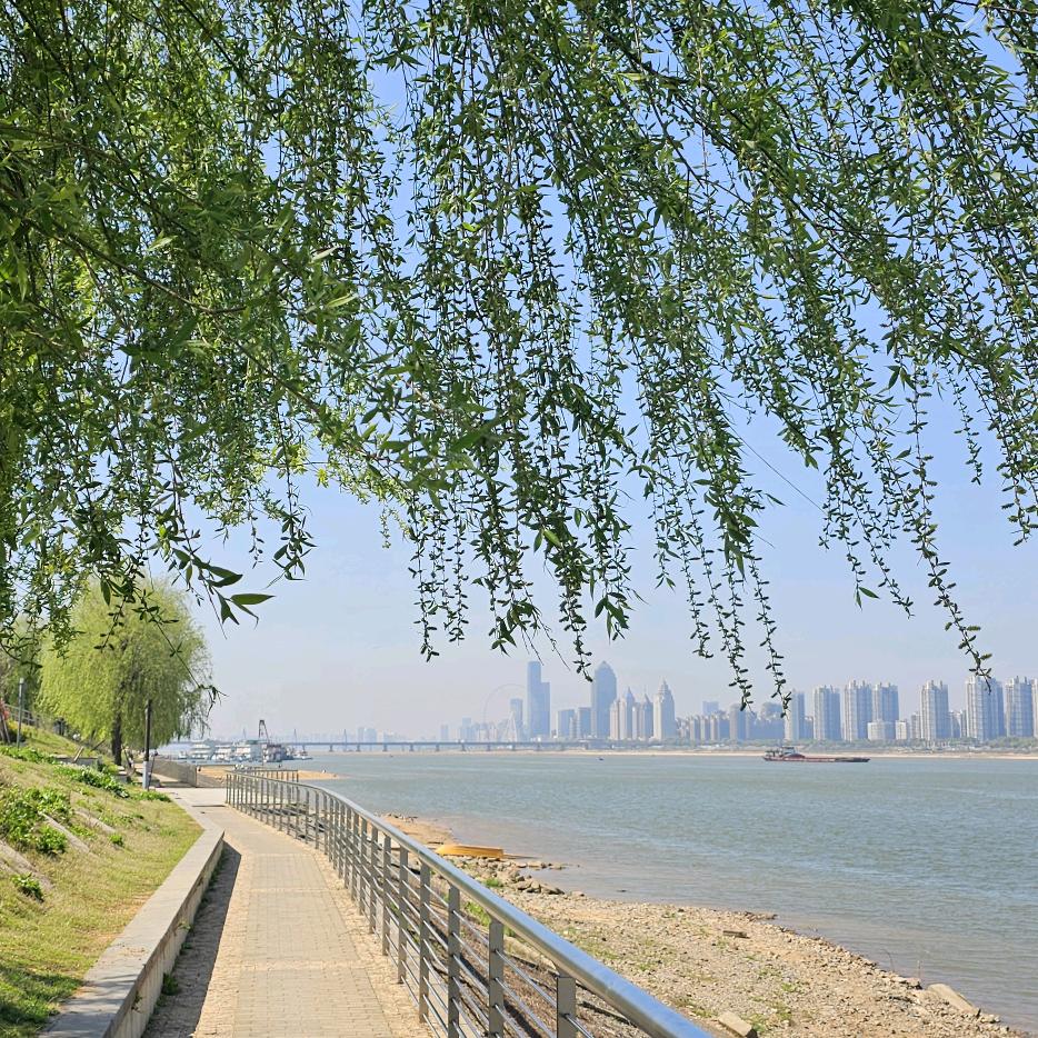 上饶上泸黑山羊农场