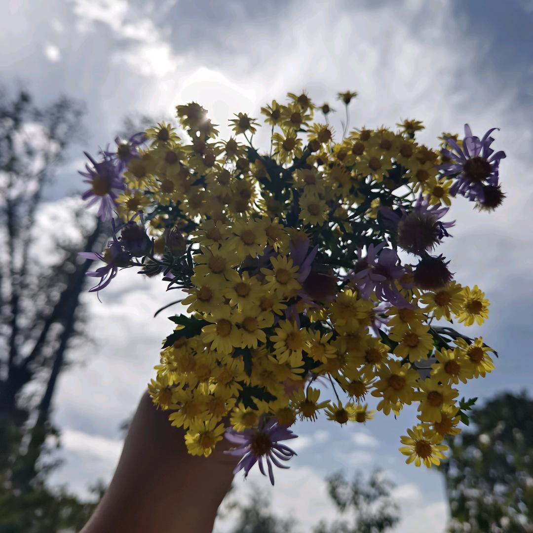 ▁▁▁▁久而久之