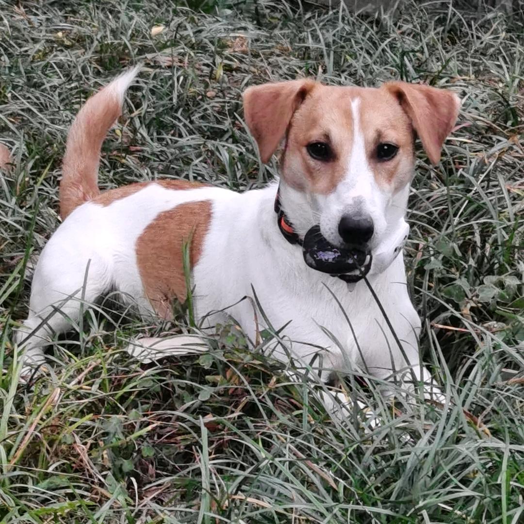 时间可以证明一切