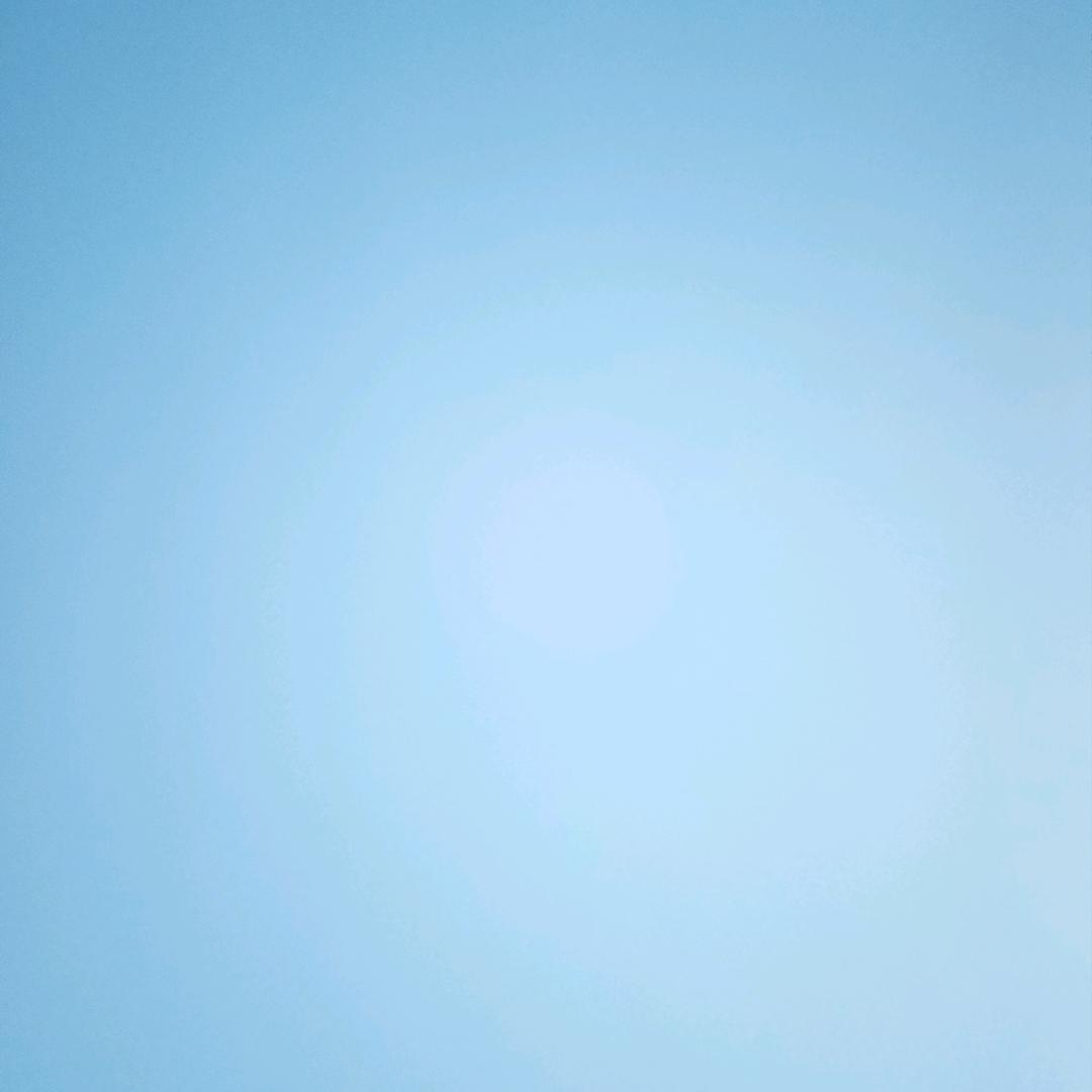 开心果