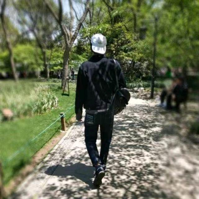 小灰飞