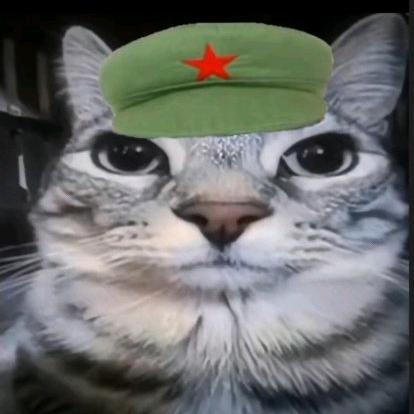 想念你的哦***