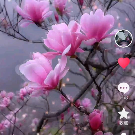 思念你