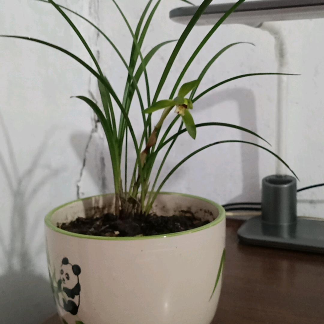 真心待人用心做事