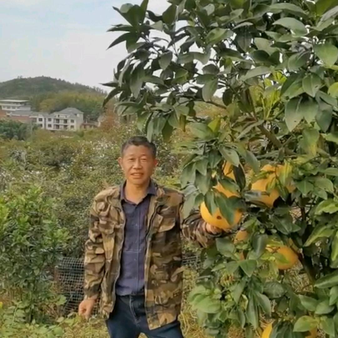 爱农业的林老师