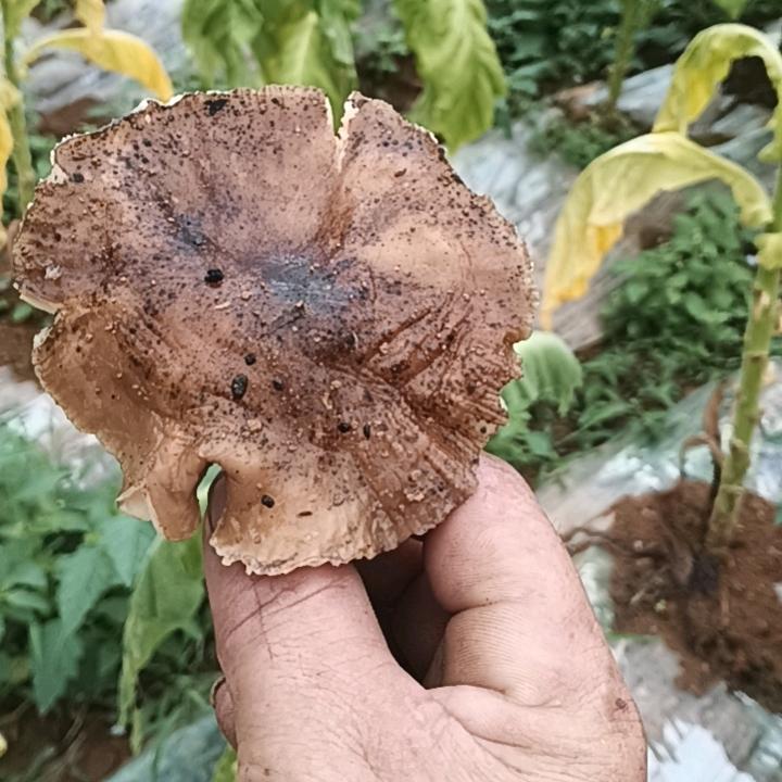 附近高空作业，常庭荣