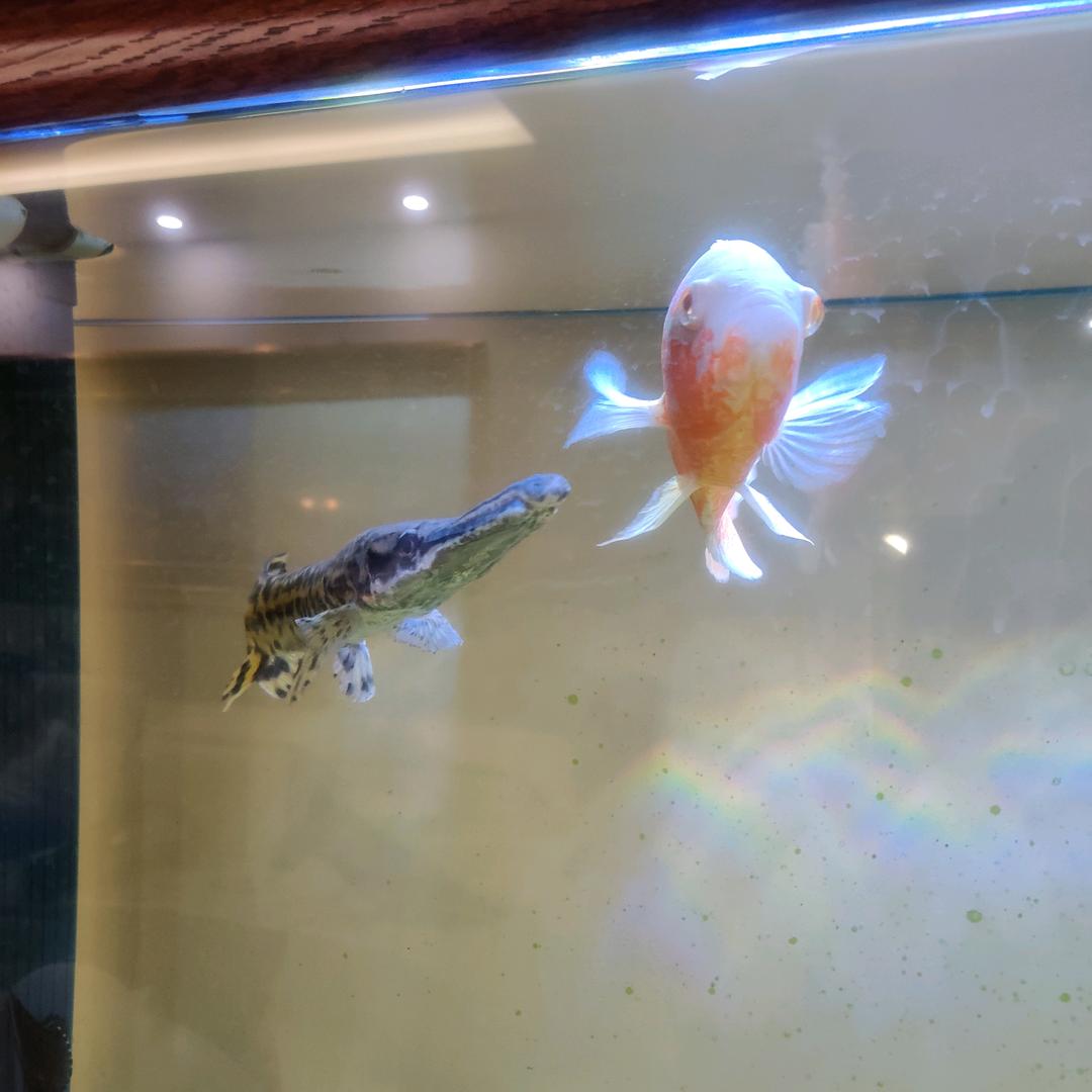 耐得住寂寞扛得起诱惑