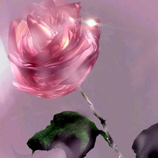 心如止水🍓🍓🍓