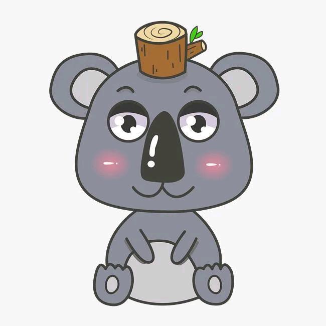 图图壮壮在贵阳