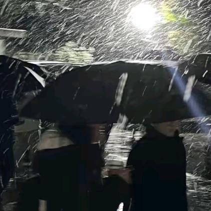 鱿辞.