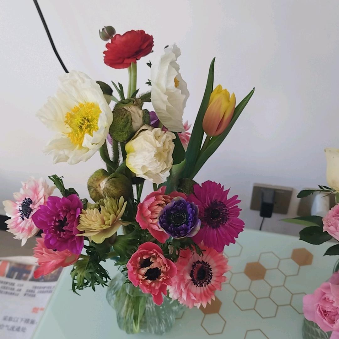 🌸开心快乐