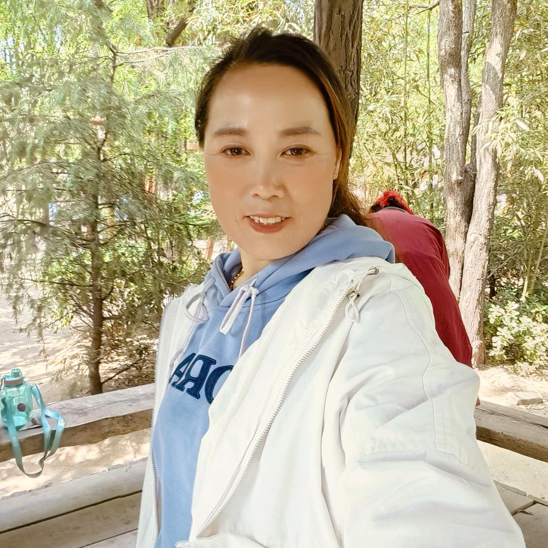 雪中红梅