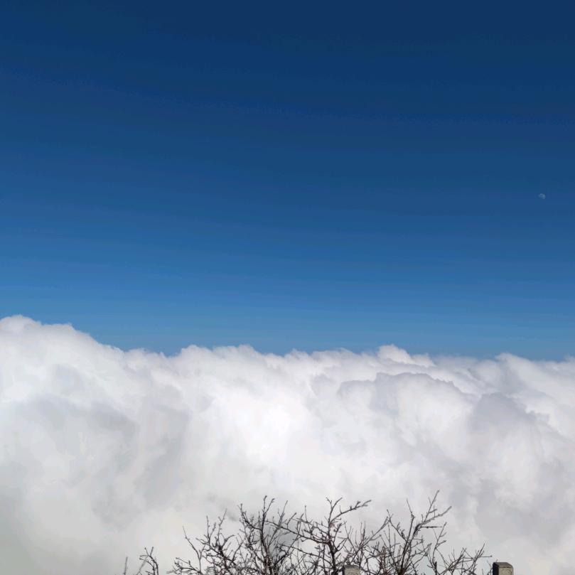 Y里模式
