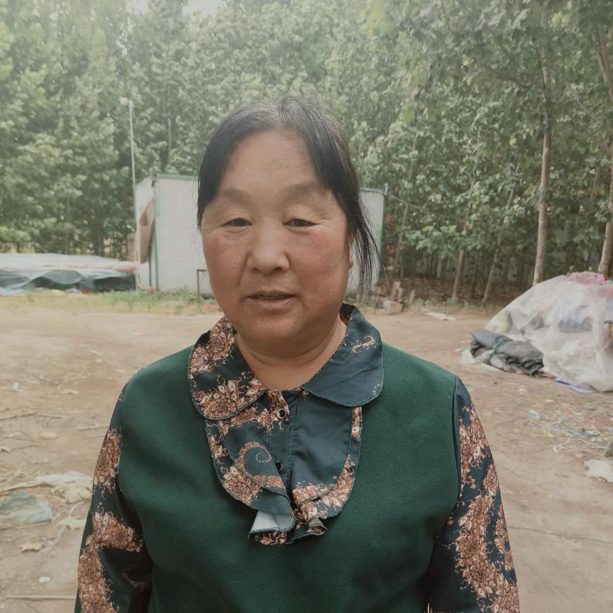 泽兰