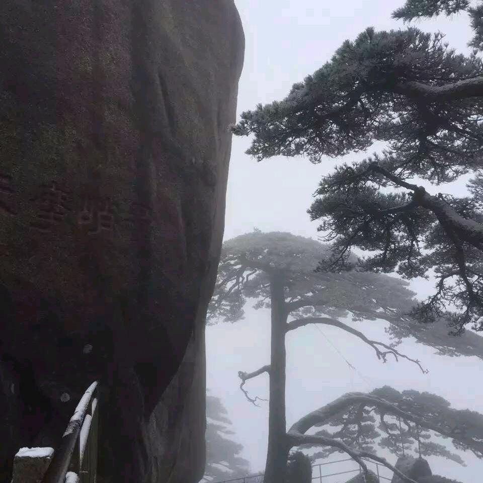 龙的传人