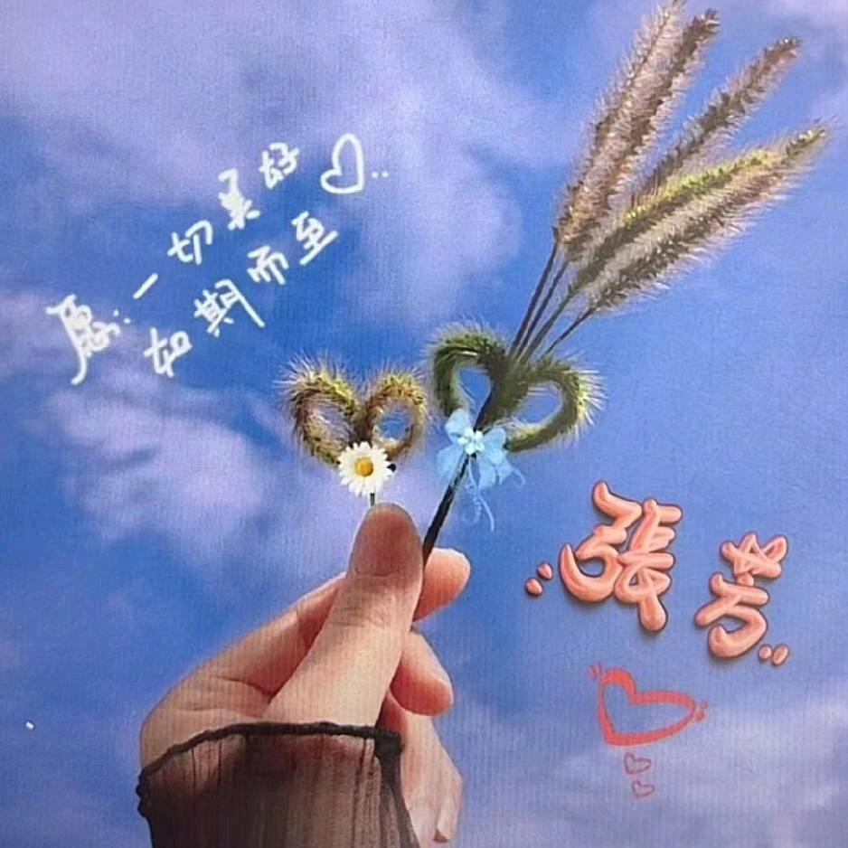 坐在月亮上数星星