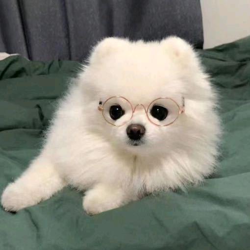 钎钎落