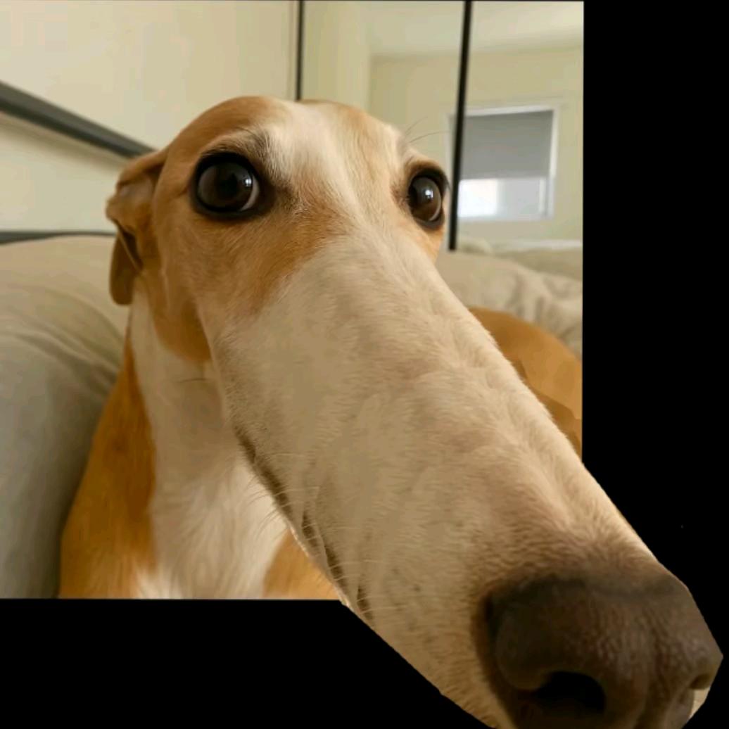 看见装b的就烦