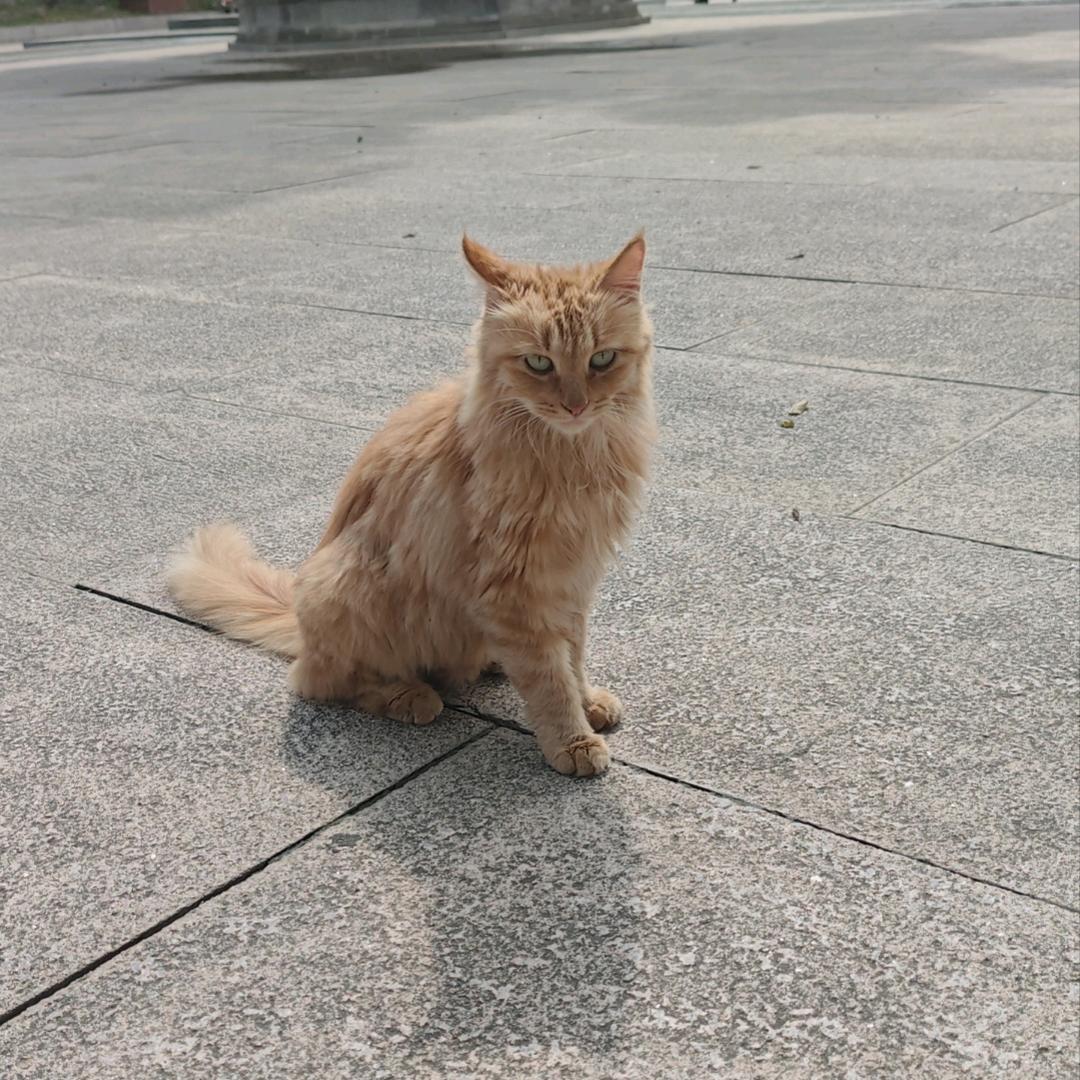 你说对就对
