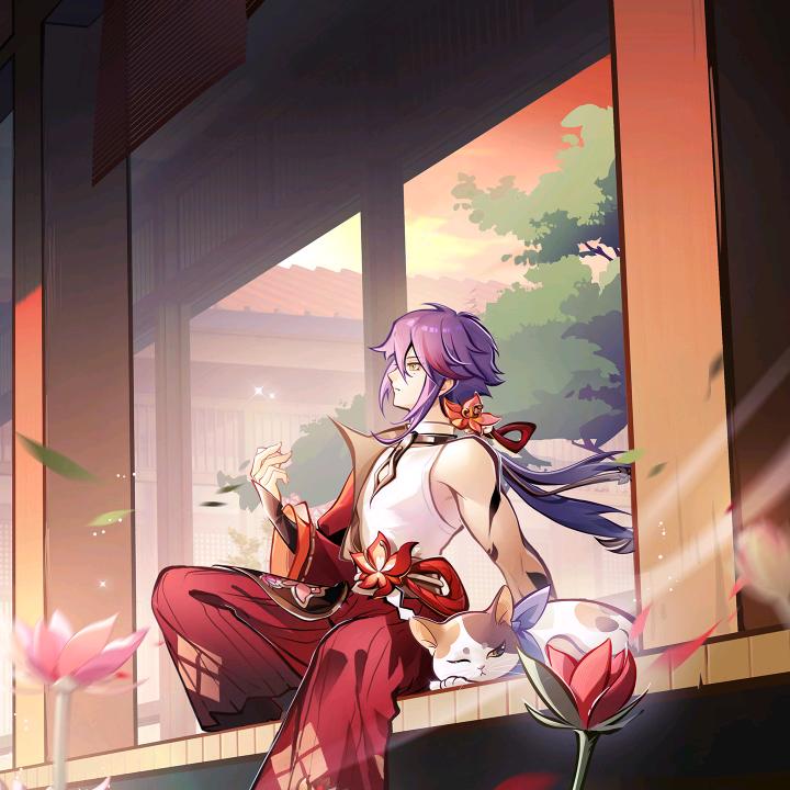 忍三月光光