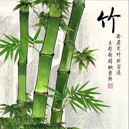 张姐1