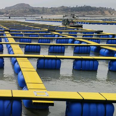 斗尾港，海鲜养殖