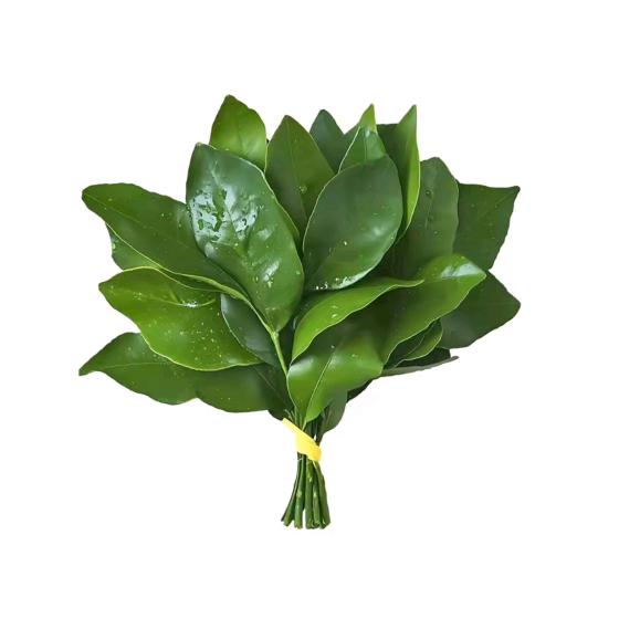 困困的麻薯球.