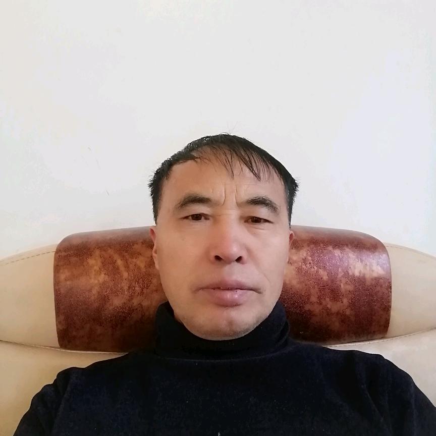 随意而安